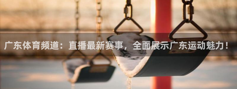 广东体育频道：直播最新赛事，全面展示广东运动魅力！
