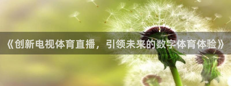 《创新电视体育直播，引领未来的数字体育体验》