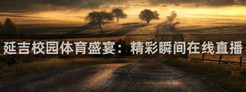 延吉校园体育盛宴：精彩瞬间在线直播