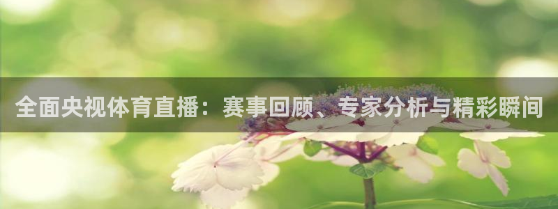 全面央视体育直播：赛事回顾、专家分析与精彩瞬间