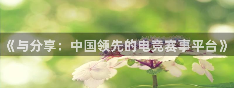 《与分享：中国领先的电竞赛事平台》