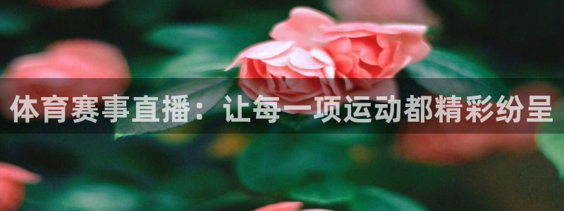 体育赛事直播：让每一项运动都精彩纷呈