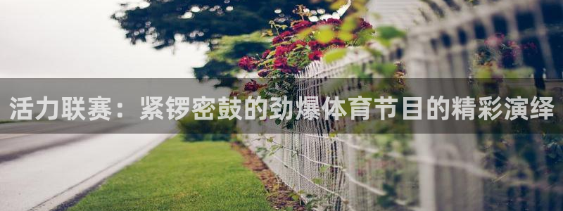 活力联赛：紧锣密鼓的劲爆体育节目的精彩演绎