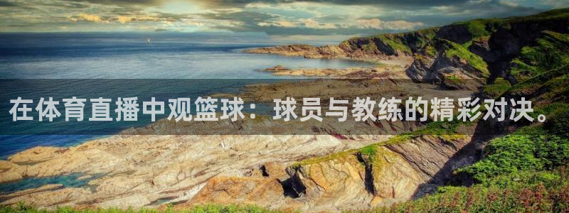 在体育直播中观篮球：球员与教练的精彩对决。