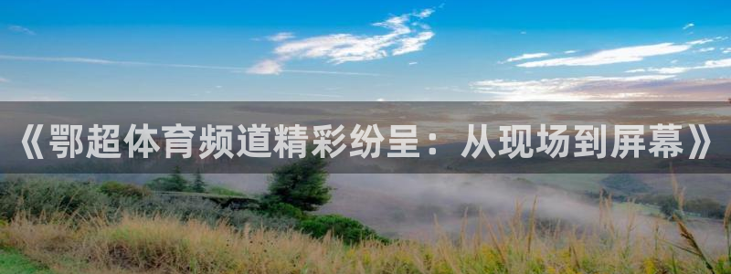 《鄂超体育频道精彩纷呈：从现场到屏幕》