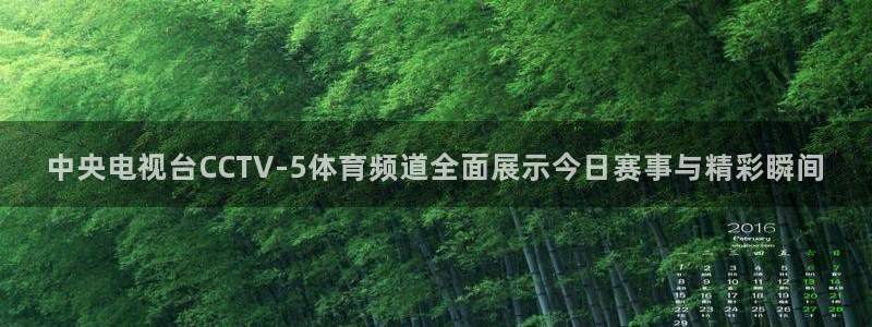 中央电视台CCTV-5体育频道全面展示今日赛事与精彩瞬间