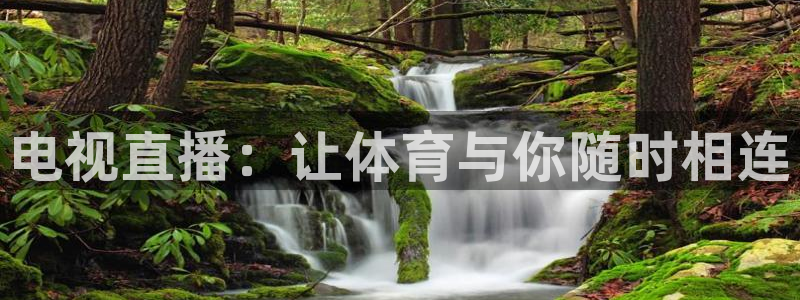 电视直播：让体育与你随时相连